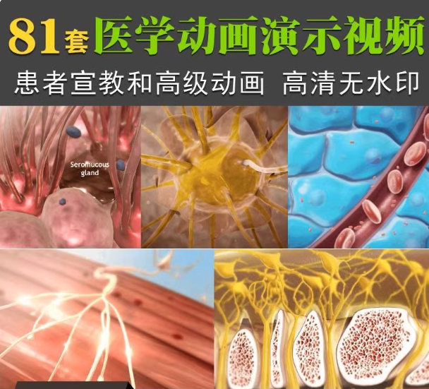 医学3d动画演示高清视频患者宣教心脏心血管功能呼吸系统泌尿系统-1